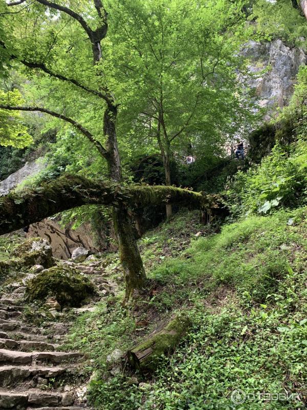 Экскурсия в грот Святого апостола Симона Канонита (Абхазия, Новый Афон) фото