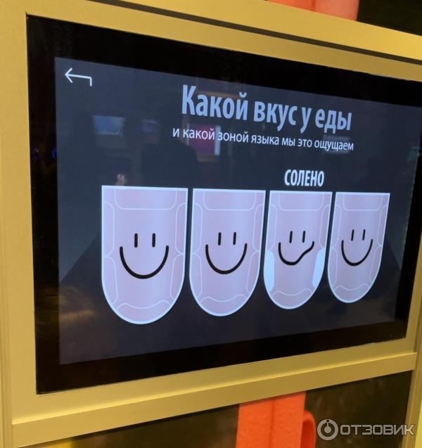 Интерактивный образовательный центр Познай себя - познай мир в Государственном Дарвиновском музее (Россия, Москва) фото