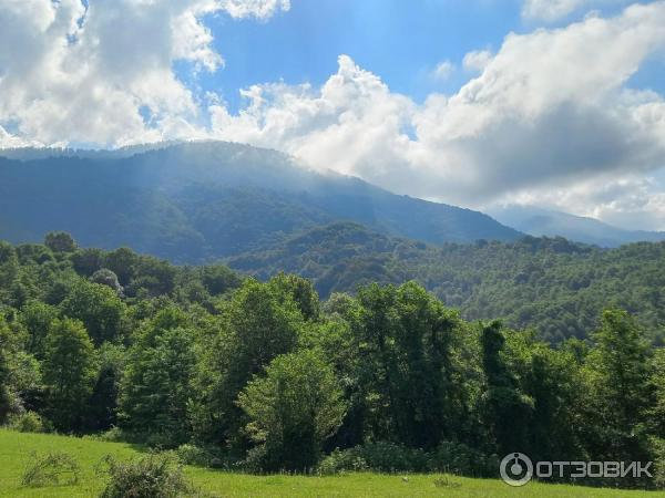 Экскурсия на Альпийские луга (Абхазия, Гудаутский район) фото