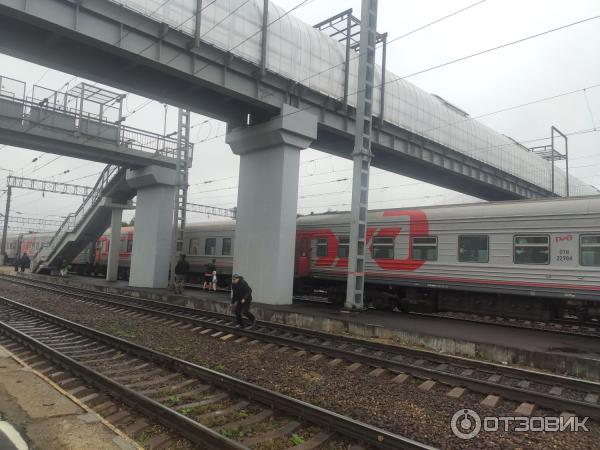 Поезд Е Санкт-Петербург - Тюмень: маршрут следования, расписание, остановки