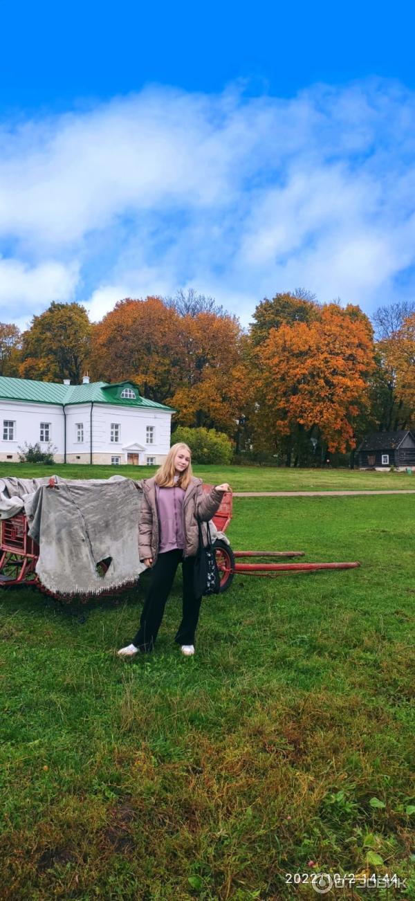 Ясная Поляна (Россия, Тульская область) фото