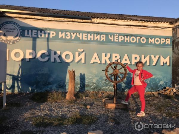 Центр изучения черного моря утриш. Центр изучения черного моря утриш