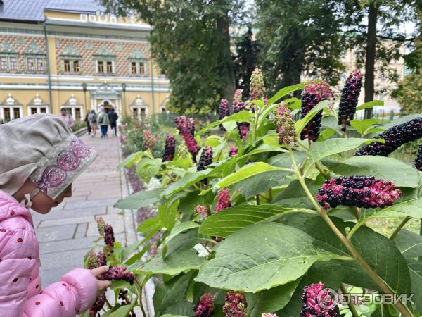 Свято-Троицкая Сергиева лавра, Сергиев Посад