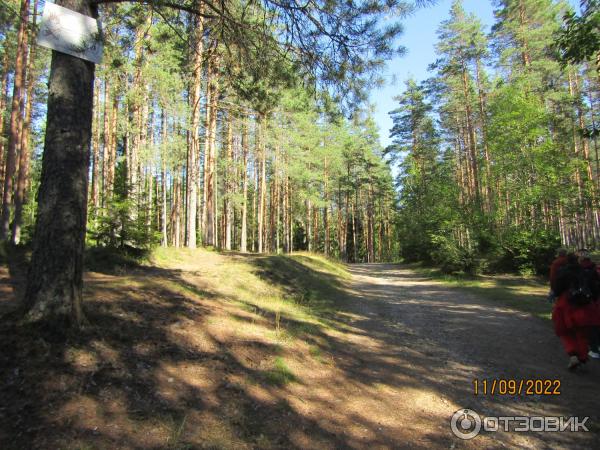 Экскурсия Из Зеленогорска в Комарово через Щучье озеро (Россия, Санкт-Петербург) фото