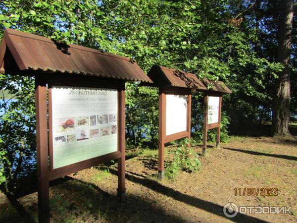 Экскурсия Из Зеленогорска в Комарово через Щучье озеро (Россия, Санкт-Петербург) фото