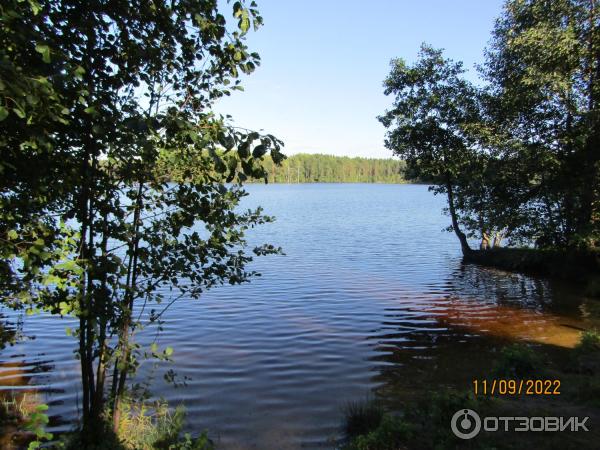 Экскурсия Из Зеленогорска в Комарово через Щучье озеро (Россия, Санкт-Петербург) фото