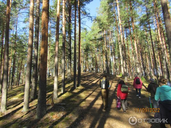 Экскурсия Из Зеленогорска в Комарово через Щучье озеро (Россия, Санкт-Петербург) фото