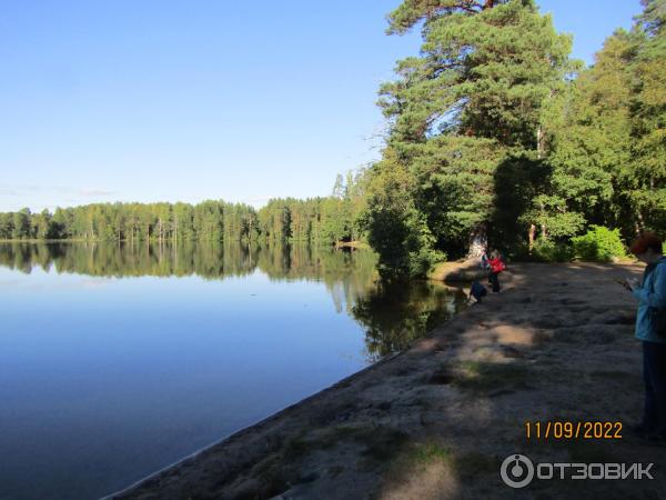 Экскурсия Из Зеленогорска в Комарово через Щучье озеро (Россия, Санкт-Петербург) фото