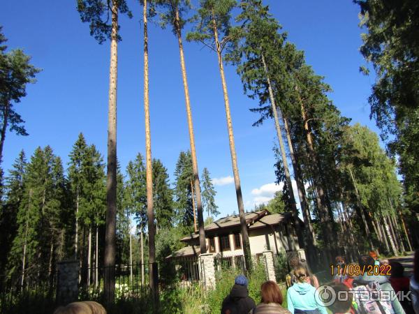 Экскурсия Из Зеленогорска в Комарово через Щучье озеро (Россия, Санкт-Петербург) фото