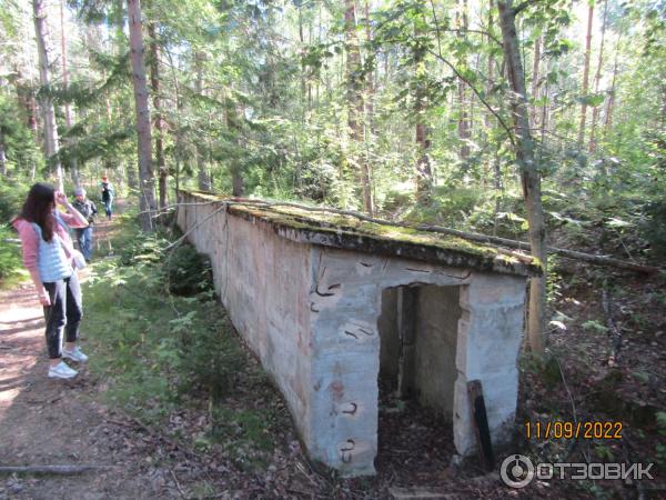 Экскурсия Из Зеленогорска в Комарово через Щучье озеро (Россия, Санкт-Петербург) фото