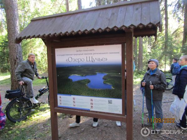 Экскурсия Из Зеленогорска в Комарово через Щучье озеро (Россия, Санкт-Петербург) фото