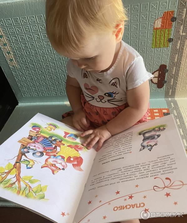 Книга Вежливые слова. Благодарим, извиняемся Наталья Мигунова фото