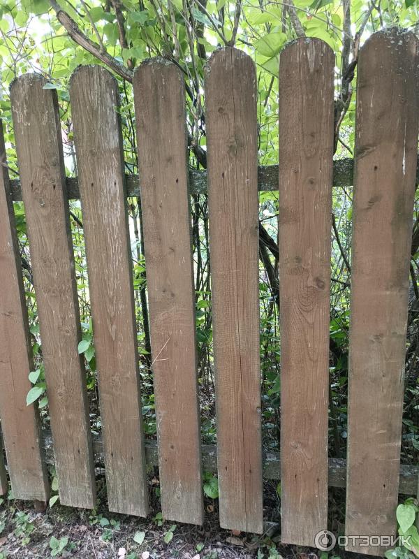 Отзыв о Эко-лазурь HUSKY Siberian | Двадцатилетний забор омолодился ...