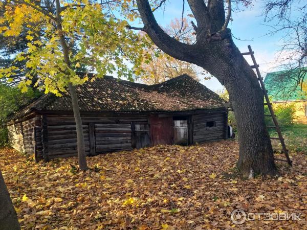 Город Таруса (Россия, Калужская область) фото