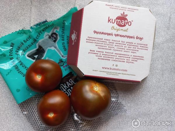 Rajčata Kumato LLC Skleníková rostlina LipetskAgro recenze