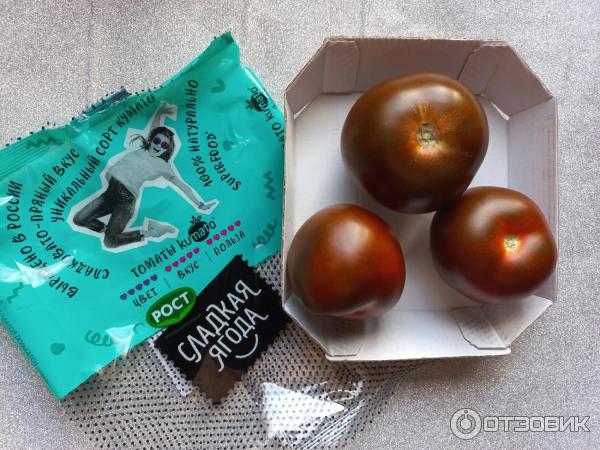 Rajčata Kumato LLC Skleníková rostlina LipetskAgro recenze