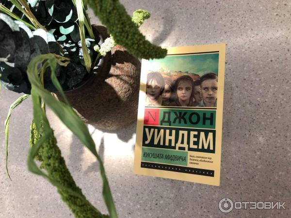 Книга Кукушата Мидвича - Джон Уиндем фото