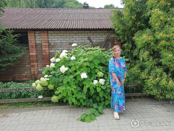Музейный комплекс старинных народных ремесел и технологий Дудутки (Беларусь, Минская область) фото