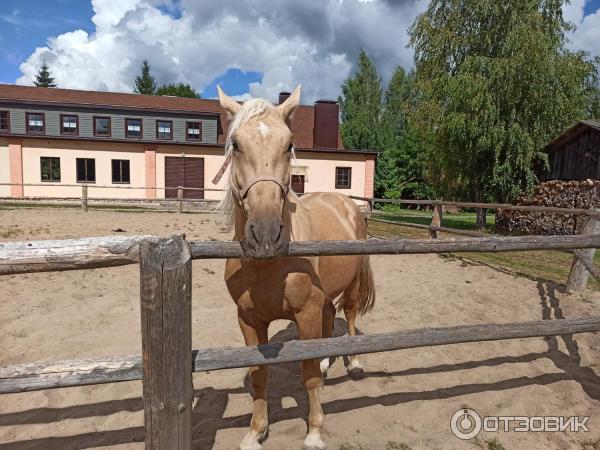 Музейный комплекс старинных народных ремесел и технологий Дудутки (Беларусь, Минская область) фото