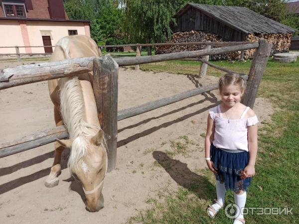 Музейный комплекс старинных народных ремесел и технологий Дудутки (Беларусь, Минская область) фото