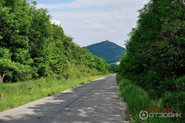 Дорога к Второафонскому Бештаугорскому монастырю.