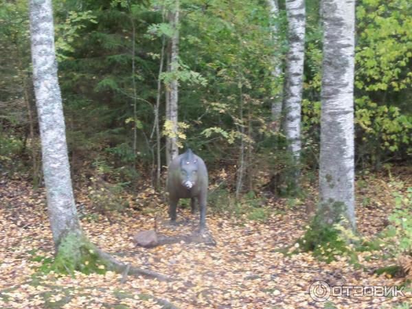 Сказачная тропа Лукоморье (Россия, Верхние Мандроги) фото