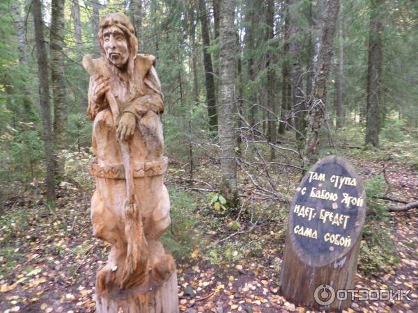 Сказачная тропа Лукоморье (Россия, Верхние Мандроги) фото