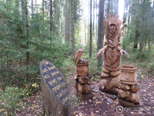 Сказачная тропа Лукоморье (Россия, Верхние Мандроги) фото