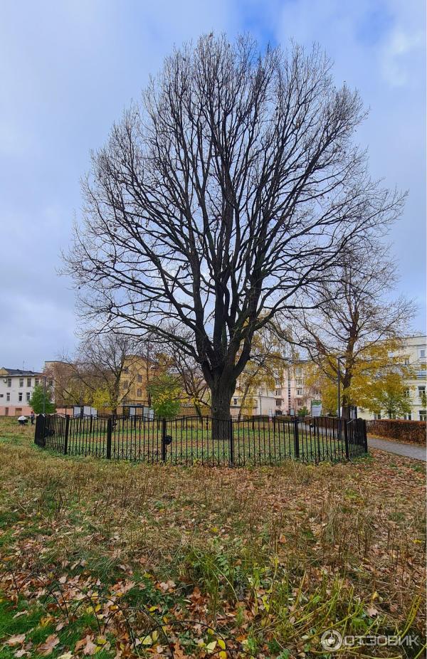 Детский Таганский парк (Россия, Москва) фото