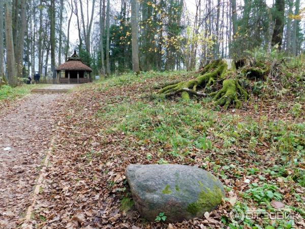 Экспозиция Искусство ХХ века в музее-заповеднике Абрамцево (Россия, Абрамцево) фото