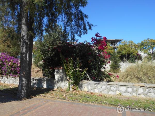 Отдых в поселке Текирова (Турция) фото