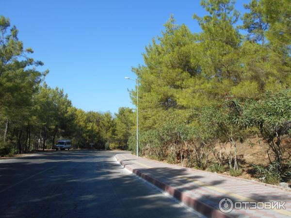 Отдых в поселке Текирова (Турция) фото