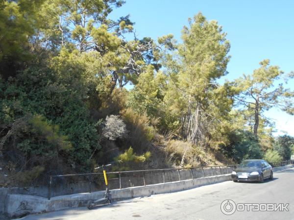 Отдых в поселке Текирова (Турция) фото