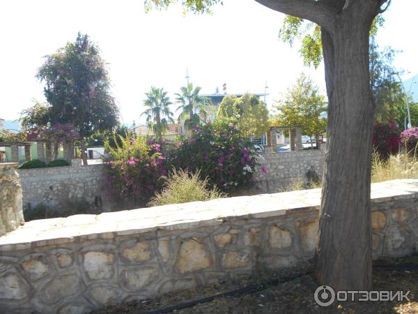 Отдых в поселке Текирова (Турция) фото