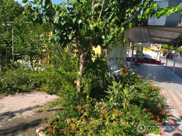 Отдых в поселке Текирова (Турция) фото