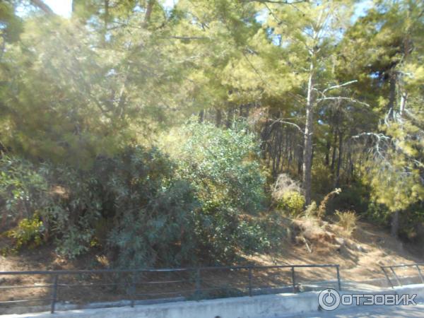 Отдых в поселке Текирова (Турция) фото