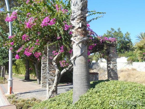 Отдых в поселке Текирова (Турция) фото