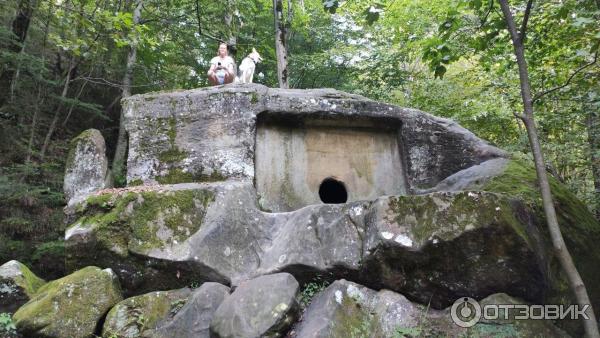 Волконский дольмен (Россия, Краснодарский край) фото