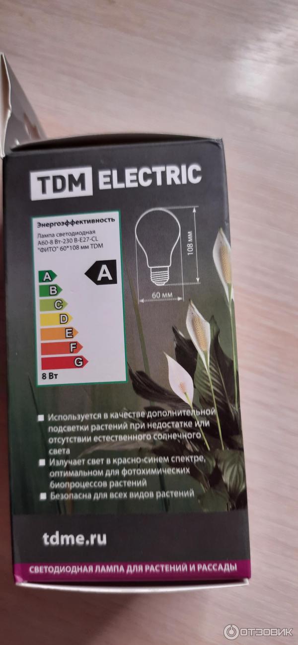 Светодиодная лампа TDM Electric фото