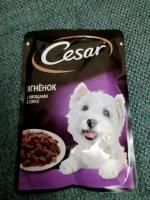 Корм для собак Cesar фото