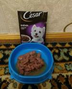 Корм для собак Cesar фото