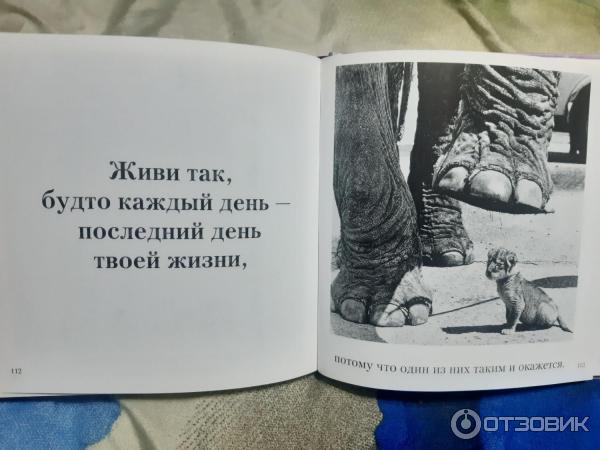 Книга Когда тебе грустно... Как поднять себе настроение - Бредли Тревор Грив фото