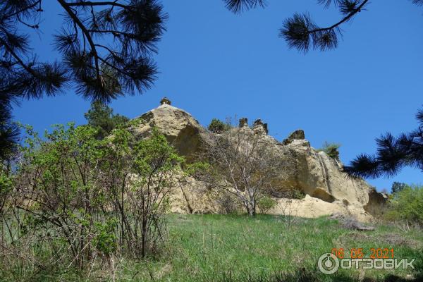 Отзыв о Кисловодский курортный парк (Россия, Кисловодск) несомненно подлежит пос