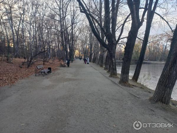 Харитоновский сад (Парк Пионеров) (Россия, Екатеринбург) фото