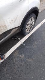 Автошины Nokian Hakkapeliitta 9 фото