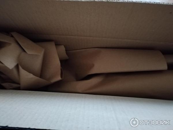 Dolinasad.by - садовый интернет-магазин Долина растений фото