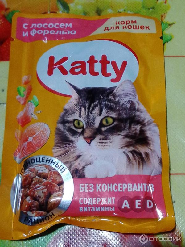 Влажный Корм Для Кошек Katty Купить