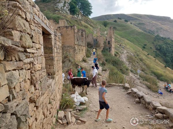 Экскурсия по старинному селу Гамсутль (Россия, Дагестан) фото