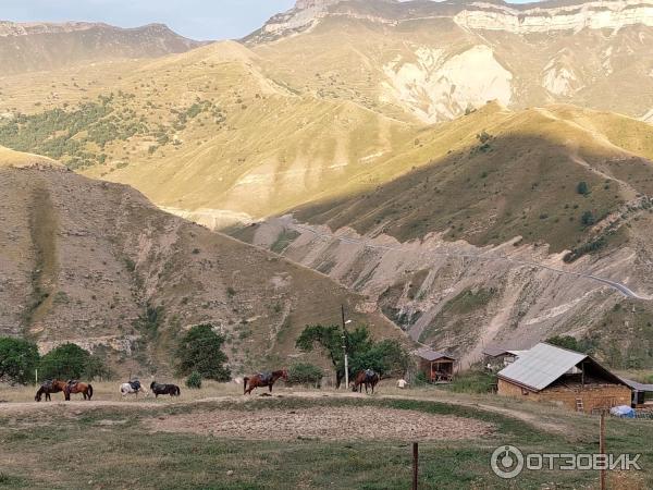 Экскурсия по старинному селу Гамсутль (Россия, Дагестан) фото