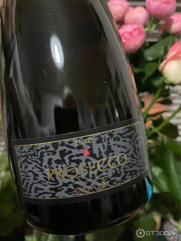 Вино игристое Issi Prosecco DOC фото